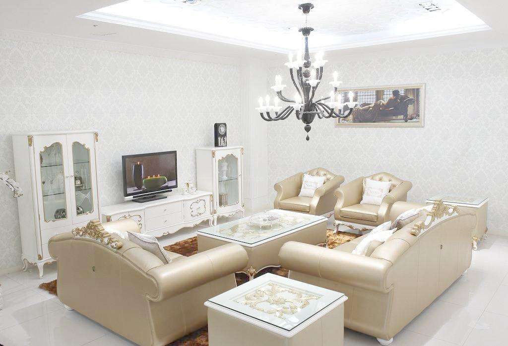 Home furniture sofa Set