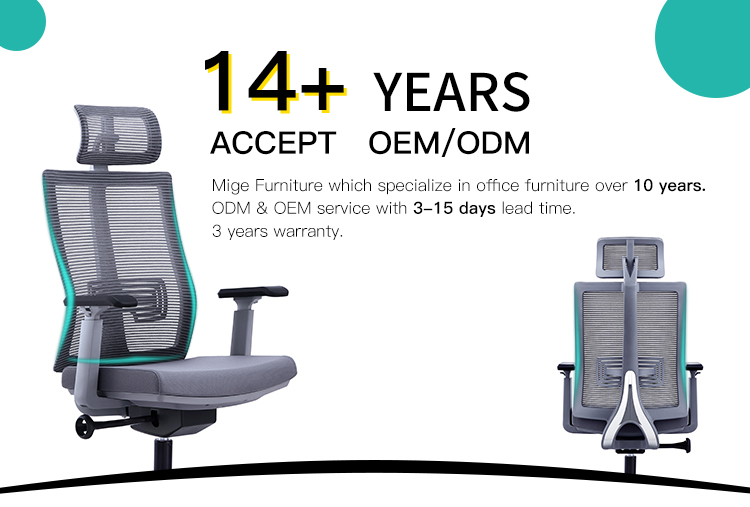 Executive Ergonomic Office Chair