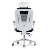 Office Chair Modern