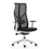 High Back Ergonomic Office Chair