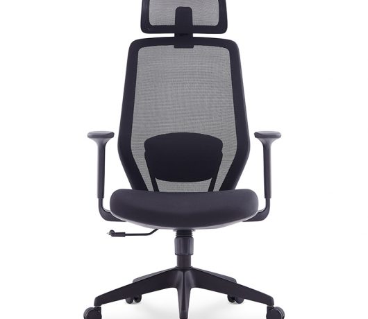 Mesh Ergonomic Office Chair