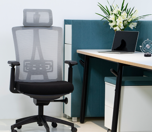 Ergonomic Mesh Chair