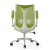 Fashion Ergonomic Office Chair