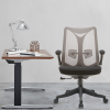 Fashion Ergonomic Office Chair