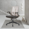 Fashion Ergonomic Office Chair