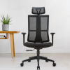 Fashion Mesh Office Chair