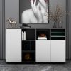 Office Storage Cabinet