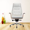 Эргономичное кресло офис-менеджера