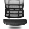 Ergonomic Mesh Chair