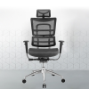 Ergonomic Mesh Chair