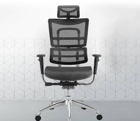 Ergonomic Mesh Chair