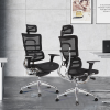 Ergonomic Mesh Chair