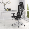 Ergonomic Mesh Chair