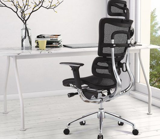 Ergonomic Mesh Chair