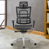 Ergonomic Mesh Chair