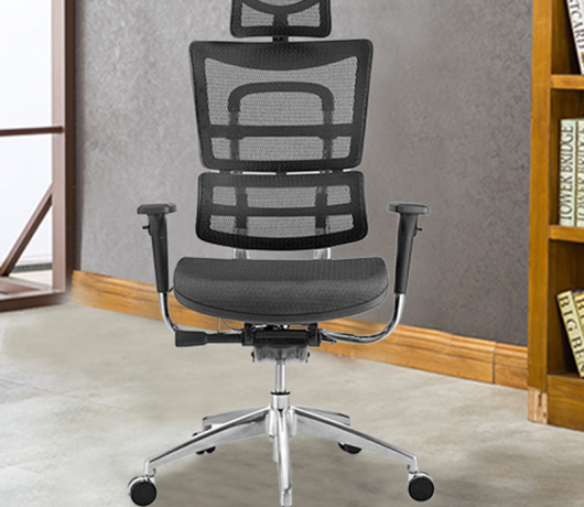 Ergonomic Mesh Chair