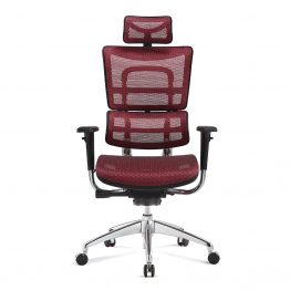 Ergonomic High Back Swivel Chair