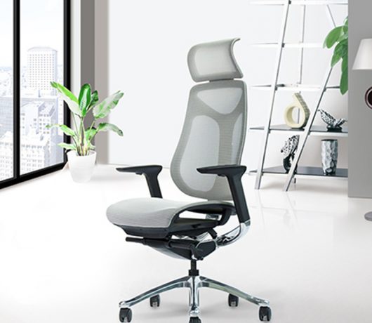 Modern Ergonomic Office Chair