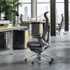 Modern Ergonomic Office Chair