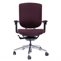 Fabric Ergonomic Desk Chair