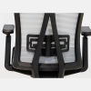 Ergonomic Mesh Chair