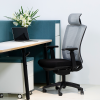 Ergonomic Mesh Chair