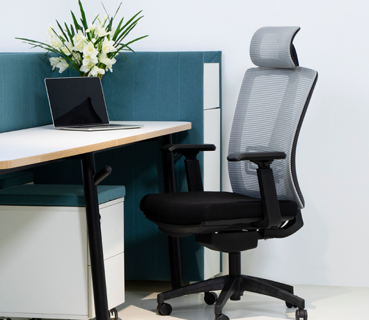 Ergonomic Mesh Chair