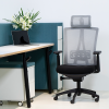 Ergonomic Mesh Chair