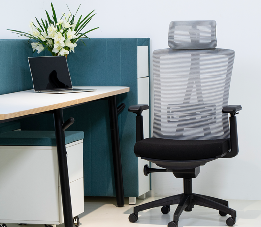 Ergonomic Mesh Chair