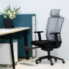 Ergonomic Mesh Chair