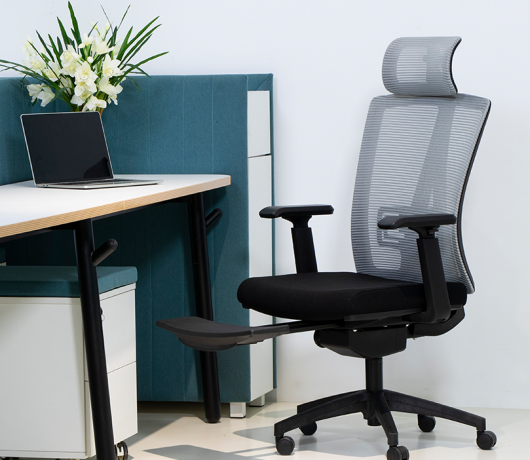 Ergonomic Mesh Chair