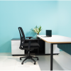Mesh Office Desk Chair