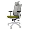 Ergonomic Mesh Computer Chair