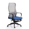 Ergonomic Mesh Back Desk Chair