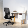 Cheap Ergonomic Office Chair