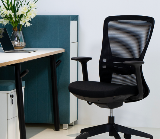 Ergonomic Mesh Swivel Chair