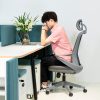 Mesh Executive Office Chair
