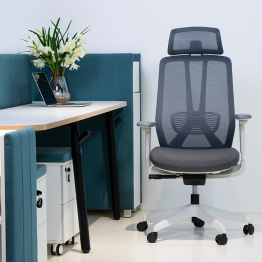 High Back Ergonomic Office Chair