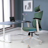 Ergonomic Fabric Office Chair