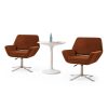 Modern Guest Chair