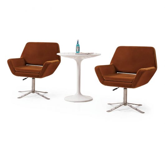 Modern Guest Chair
