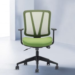 Fashion Staff Chair