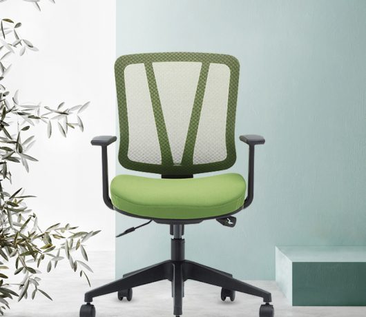 Fashion Staff Chair