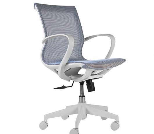 Mesh Back Office Task Chair