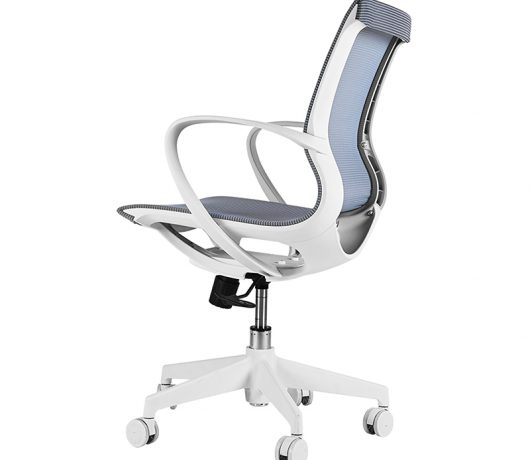 Mesh Back Office Task Chair