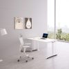 Electirc Standing Desk