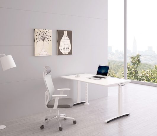 Electirc Standing Desk