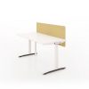 Electirc Standing Desk