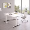 Electirc Standing Desk