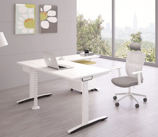 Electirc Standing Desk